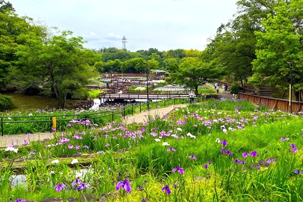 アクセスと周辺環境